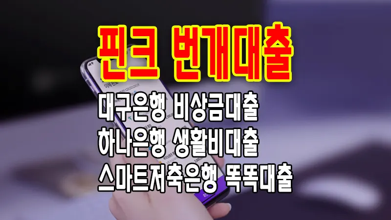 핀크 번개대출